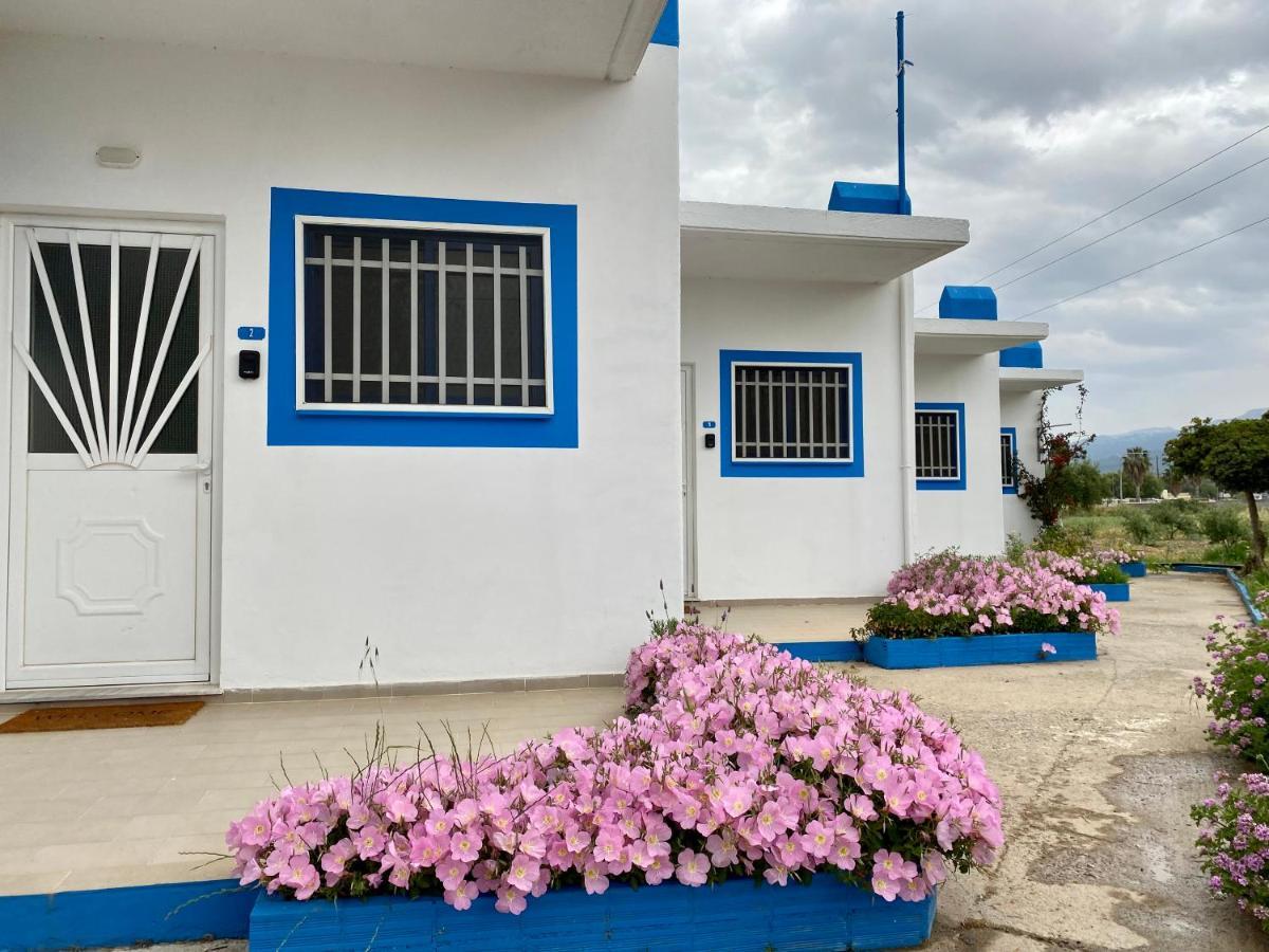 Elgreco Apartment, At Tigaki, Near The Sea "3" Zewnętrze zdjęcie